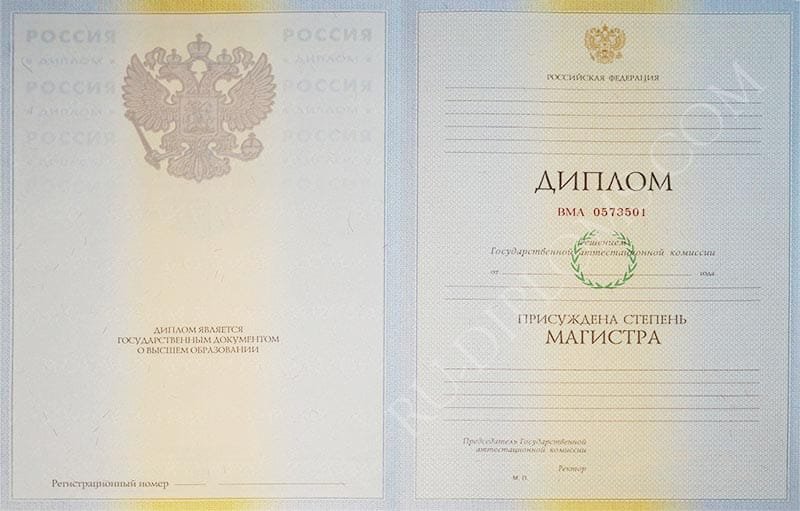 Диплом магистра 2004-2009 год 