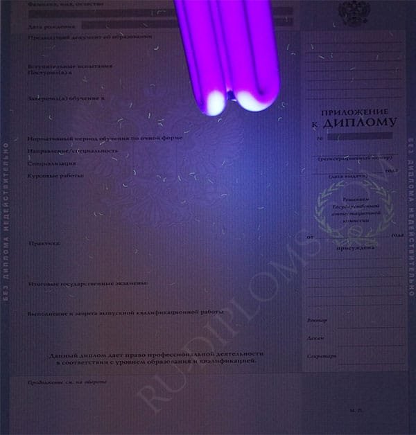 Диплом бакалавра 2010-2013 год  